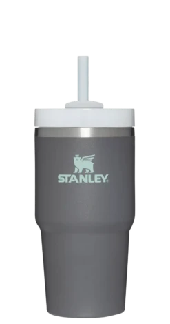 Stanley The Quencher H2.O FlowState™ Tumbler 20 Oz -Occasionally Yours Stanely The Quencher H2.O Flowstate Tumbler 20oz 2572f1f4 d658 42c0 a5f8 ec780f2cdddb