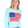 USA Flag Sweater -Occasionally Yours ss usa flag sweater surf 1