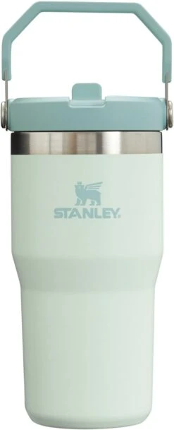 Stanley The IceFlow™ Flip Straw Tumbler 20 Oz -Occasionally Yours stanley iceflow flip straw tumbler 20oz mist 1